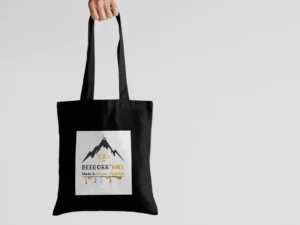 19_agence_de_communication_creation_conception_site_internet_gestion_reseaux_sociaux_graphisme_strategie_digitale_webmarketing_seo_referencement_perigueux_bergerac_sarlat_riberac