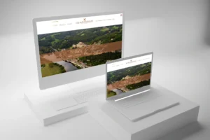 Lire la suite à propos de l’article Site vitrine ou site e-commerce : quelle solution choisir pour une entreprise du Périgord ?